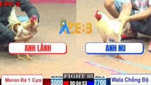 Trận 35 CPC2 6/8/2025 - Camelo Anh Lành Chồng Độ 1 Cựa Đá Quá Lực