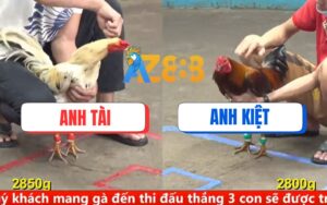 Trận 12 CPC5 Ngày 15/08/2025