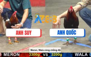 Trận 22 CPC5 Ngày 17/08/2025