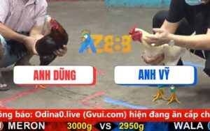 Trận 23 CPC5 Ngày 16/08/2025