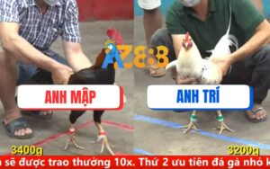Trận 25 CPC5 ngày 15/08/2025