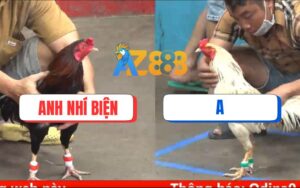 Trận 8 CPC5 Ngày 16/08/2025