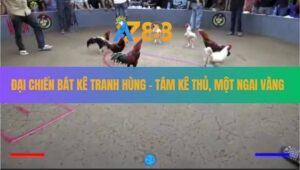 Đại Chiến Bát Kê Tranh Hùng - Độc Nhât Từ Trước Đến Nay