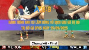Hành Trình Anh Cu Lâm Đồng Vô Địch Giải Gà Tự Do CPC5 Ngày 25/09/2025