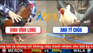 Trận 25 CPC5 20/9/2025 - Úa Hiệu Anh Tý Chùa Bị Gà Điều Đâm Bay Bồ