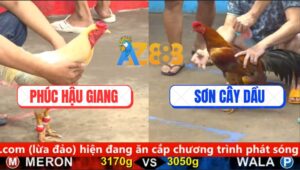 Trận 8 CPC5 25/9/2025 - Gà Vàng Anh Sơn Đá Ngay Bầu Diều Úa Ói Òng Ọc