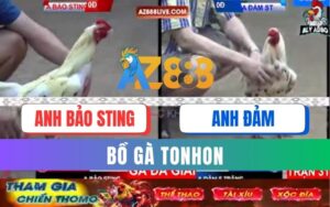 Trận 31 Bồ Tonhon 12/09/2025