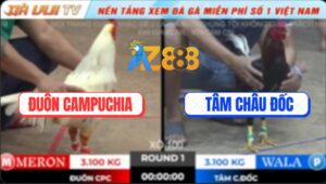 Trận 1 TonHon 18/10/2025 - Anh Đuôn CPC Mở Bát Hạ Anh Tâm Mau Lẹ