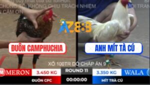 Trận 11 Ton Hon 10/10/2025 - Anh Mít Trà Cú Đụng Độ Anh Đuôn Campuchia