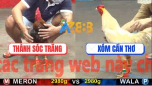 Trận 16 CPC5 22/10/2025 - Úa Canh Chặn 2 Chân Điều Gãy Giò Hết Phép