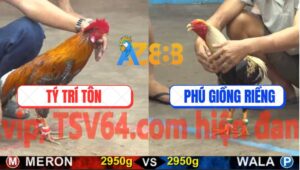 Trận 18 CPC5 17/10/2025 - Chuối Cúp Anh Phú Đâm Như Máy Chích