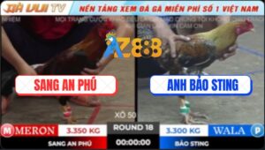 Trận 18 TonHon 18/10/2025 - Anh Bảo Sting Trở Lại Sau Chuỗi Thua 9