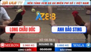 Trận 19 TonHon 18/10/2025 - Anh Bảo Sting Sửa Gà Xoay Chuyển Tình Thế