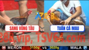 Trận 26 CPC5 21/10/2025 - Điều Sang Vũng Tàu Xâu Xấu Đâm Như Phát Sít