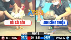 Trận 9 CPC6 12/10/2025 - Gà Cú Bắt Bướm Không Thành Để lại Xái Xổ 100