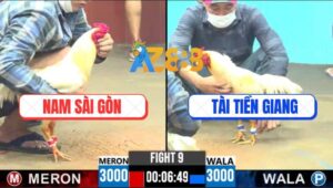 Trận 9 CPC6 15/10/2025 - Gà Bướm Đá Chạy Xe Đưa Úa Anh Tài Đi Bán Muối