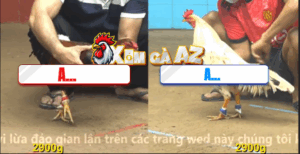 Trận 31 CPC4 10/11/2025 - Bướm Có Chân XL Ăn Ngược Gà Điều Phút 90