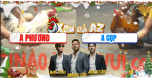 Trận 27 CPC5 20/11/2025 - Gà Khét Anh Cọp Khiến Đối Thủ Tắt Thở Tại Giải