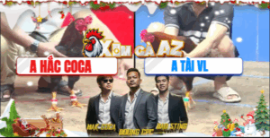 Trận 22 CPC3 30/11/2025 - Điều Cọp Anh Tài Vĩnh Long Hay Nhất Tại Thomo