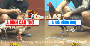 Trận 15 CPC4 9/11/2025 - Gà Xanh Anh Giá Đá Như Mẹ Chồng Đánh Nàng Đâu