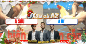 Trận 12 CPC5 19/11/2025 - Gà Anh Út Có Chân Nghiệt Giết Chết Đối Thủ Tại Chỗ