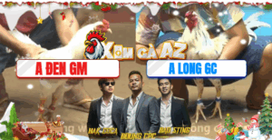 Trận 41 CPC4 27/11/2025 - 2 Con Cọp Lao Vào Như Vũ Bão Và Cái Kết