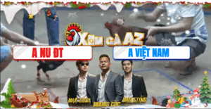 Trận 20 Bồ Hà Tiên 27/11/2025 - Nu Đồng Tháp Chơi Độc Bằng Ký Chấp 1 Cựa Và Cái Kết