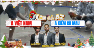 Trận 15 Bồ Hà Tiên 19/11/2025 - Kiểm Cà Mau Chấp 4 Chấm Khiến Cả Bồ Ngã Ngửa