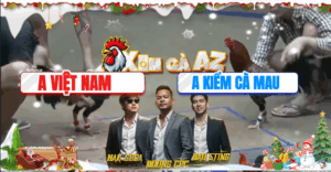 Trận 16 Bồ Hà Tiên 19/11/2025 - Kiểm Cà Mau Dùng Hết Tài Nghệ Của Mình Và Cái Kết