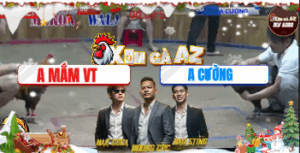 Trận 24 Bồ Hà Tiên 20/11/2025 - Hứa Văn Cường Vào 1 Chấn Khiến Đối Thủ Tốc Chạy