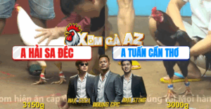 Trận 30 CPC4 11/11/2025 - Bướm Cọp Tuấn Cần Thơ Đâm Như Cái Máy