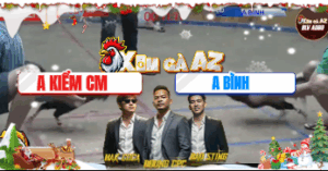 Trận 23 Bồ Hà Tiên 20/11/2025 - Kiểm Cà Mau Khiến Bình Bá Hộ Té Xe Tuyệt Đối