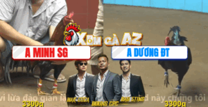 Trận 38 CPC4 11/11/2025 - Gà Que Sát Thủ Anh Dương Hạ Đối Thủ Chết Tại Chỗ