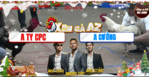 Trận 31 Bồ Hà Tiên 20/11/2025 - Hứa Văn Cường Làm Mưa Làm Gió Tại Giải