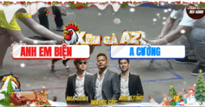 Trận 40 Bồ Hà Tiên 20/11/2025 - Hứa Văn Cường Thắng Cực Kì Đẳng Cấp Trận Này