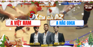 Trận 7 Bồ Tonhon 21/11/2025 - Hắc Coca Bất Ngờ Xổ Lên Tới 500 Triệu Và Cái Kết