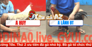 Trận 30 CPC5 7/11/2025 - Điều Anh Nhựt Quá Hay Khiến Đối Thủ Phải Bó Tay