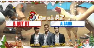 Trận 32 CPC4 21/11/2025 - Quý Đồng Tháp Gom Sạch Phiếu Và Cái Kết