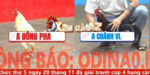 Trận 7 CPC5 8/11/2025 - Đông Pha Ôm Hàng Tuyển Vào Chụp Bươi Như Cái Máy