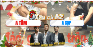 Trận 16 CPC5 20/11/2025 - Trận Thua Duy Nhất Của Anh Cọp Bình Phước Tại Giải