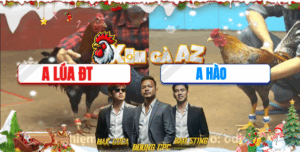 Trận 19 CPC4 23/11/2025 - Điều Cọp Anh Lúa Mém Chồng Độ Thành Công