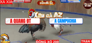 Trận 8 Bồ Hà Tiên 9/11/2025 - Quang Đồng Tháp Xổ 200 Triệu Với Cánh Campuchia