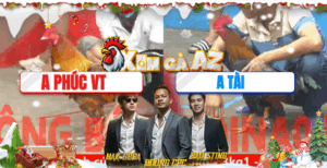 Trận 15 CPC5 23/11/2025 - Phúc Vũng Tàu Xổ Lớn Giết Đối Thủ Chỉ 3 Chân