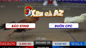 TRAN 25 TON HON 2112025