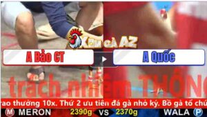 Trận 1 CPC5 3/11/2025