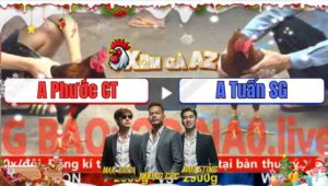 Trận 13 CPC5 24/11/2025