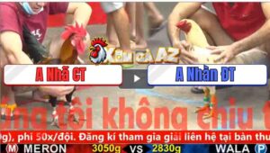 Trận 13 CPC5 3/11/2025