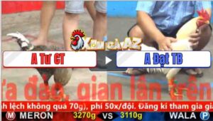 Trận 13 CPC5 4/11/2025