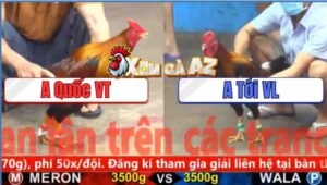 Trận 14 CPC5 5/11/2025