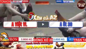 Trận 14 Tonhon 11/1/2025